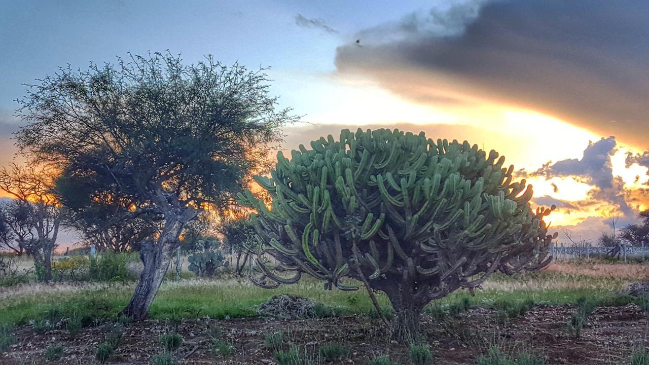 El Macehual Hotel Atotonilco  Bagian luar foto